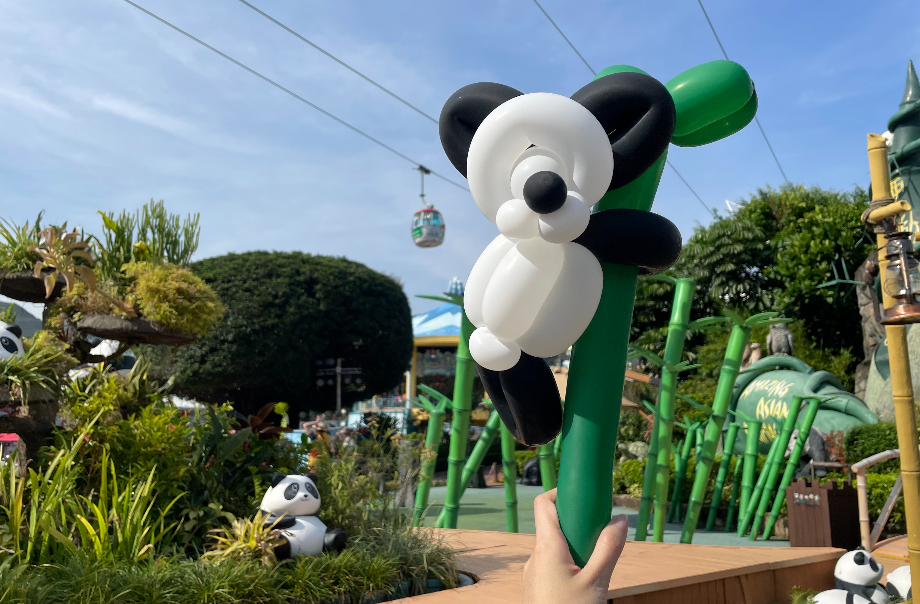 Giant Panda Balloon Twisting Fun