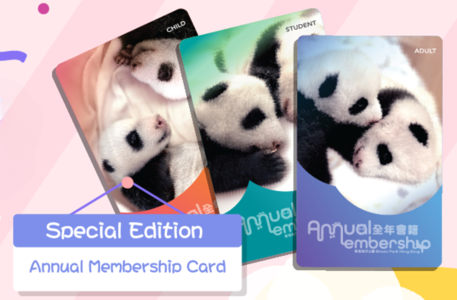 Special Edition Giant Panda Membership Card and Panda Cubs Collectible Card Series