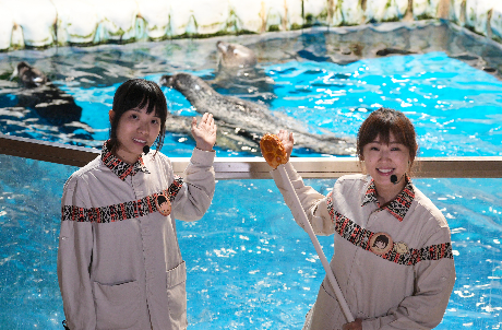 Ocean Guardians “Seal” You Later