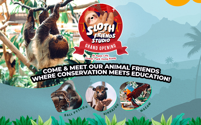https://media.oceanpark.com.hk/files/s3fs-public/op-sloth-friends-studio-innerpage-banner-mobile-en.jpg