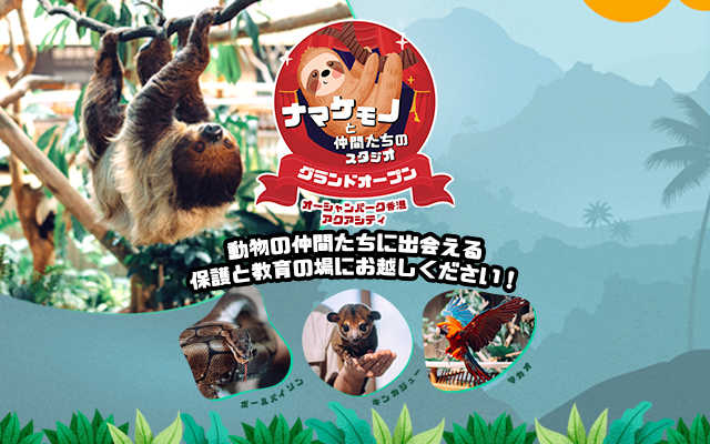 https://media.oceanpark.com.hk/files/s3fs-public/op-sloth-friends-studio-innerpage-banner-mobile-jp.jpg