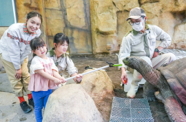 童趣探索行（4 – 5歲）動物護理見習生