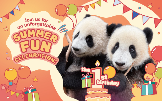 https://media.oceanpark.com.hk/files/s3fs-public/op-summer-gift-pack-inner-mobile-en.jpg