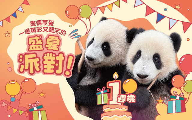 https://media.oceanpark.com.hk/files/s3fs-public/op-summer-gift-pack-inner-mobile-tc.jpg