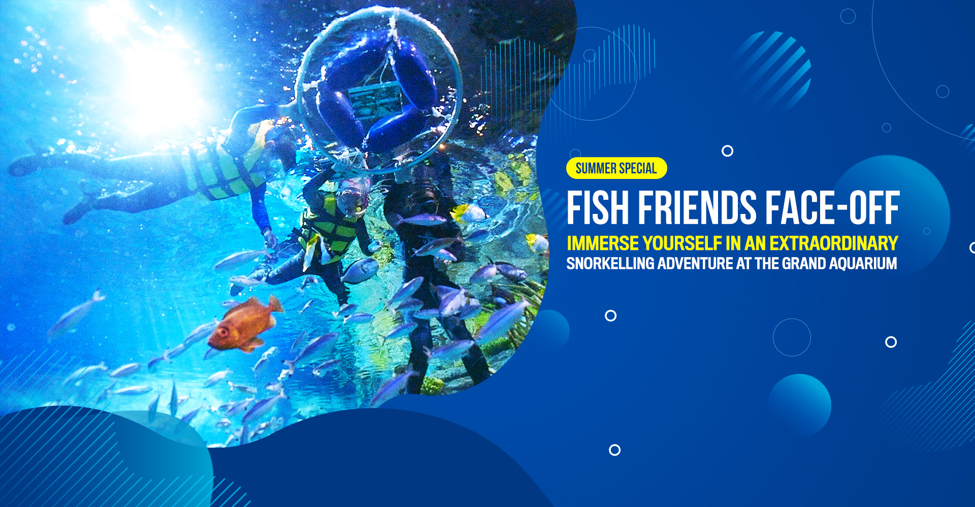 [Summer Special] Fish Friends Face-off