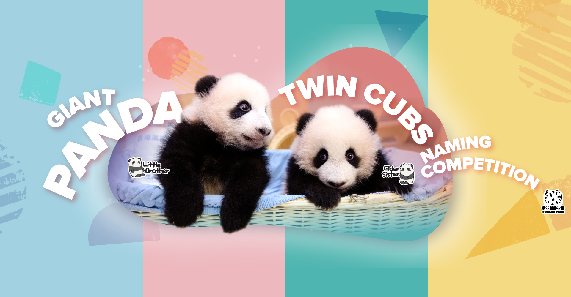 https://media.oceanpark.com.hk/files/s3fs-public/panda-twin-cubs-naming-desktop-en.jpg