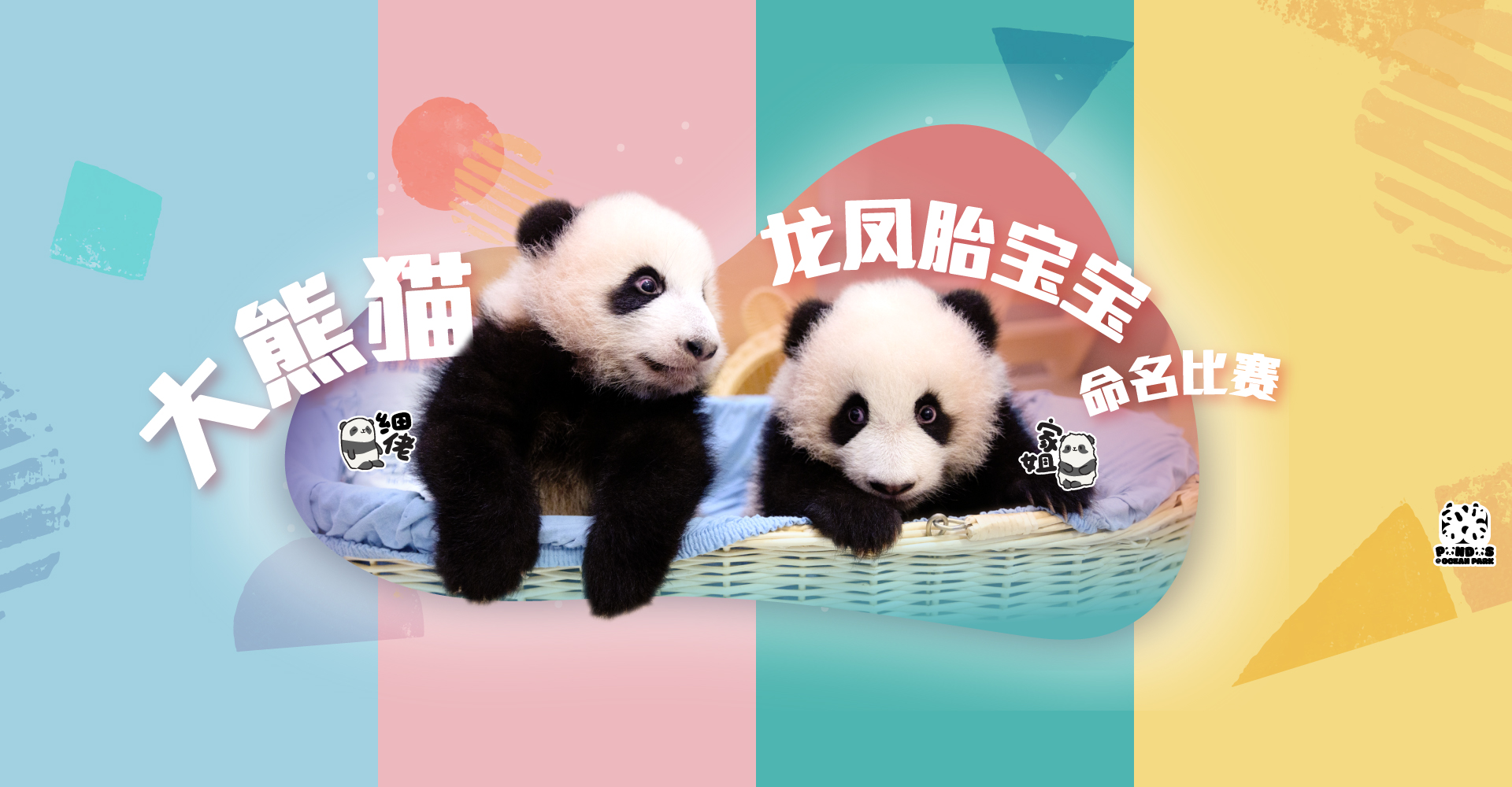 https://media.oceanpark.com.hk/files/s3fs-public/panda-twin-cubs-naming-desktop-sc.jpg