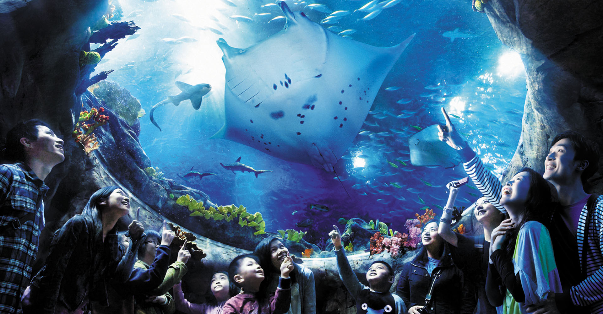 Hong Kong Best Theme Park & Attractions | Ocean Park Hong Kong