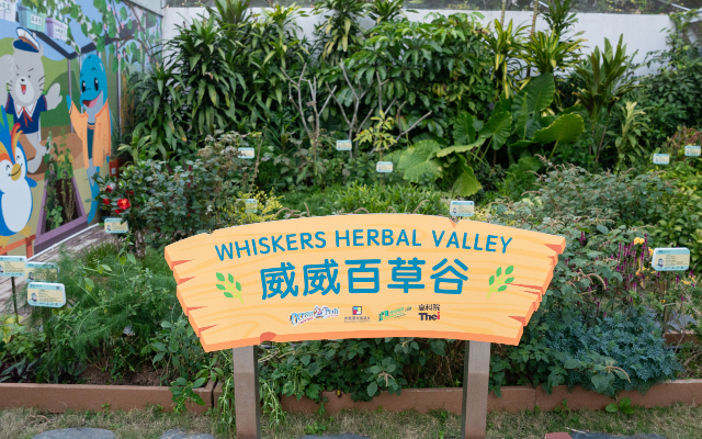 https://media.oceanpark.com.hk/files/s3fs-public/whiskers-herbal-valley-01-mobile.jpg