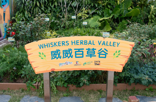 Whiskers Herbal Valley