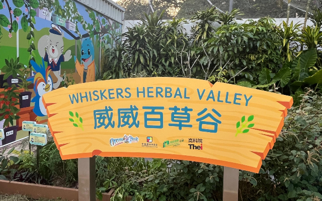 https://media.oceanpark.com.hk/files/s3fs-public/whiskers-herbal-valley-mobile.jpg