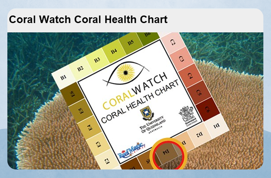 可以用A.I. 監測珊瑚的顏色，分析其健康狀況